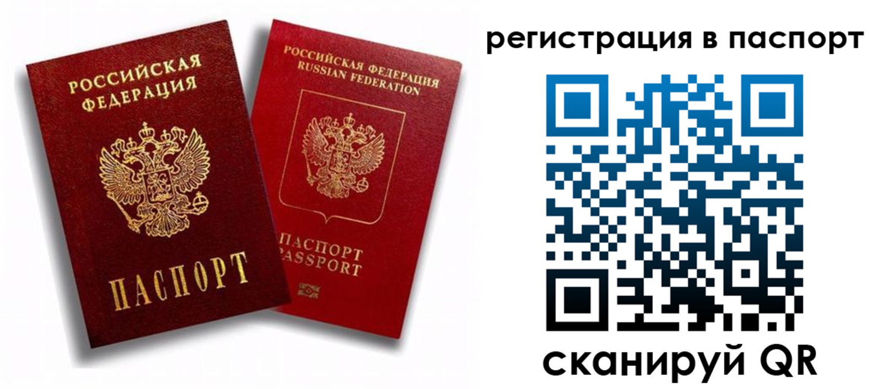 прописка 2025 в Курской области